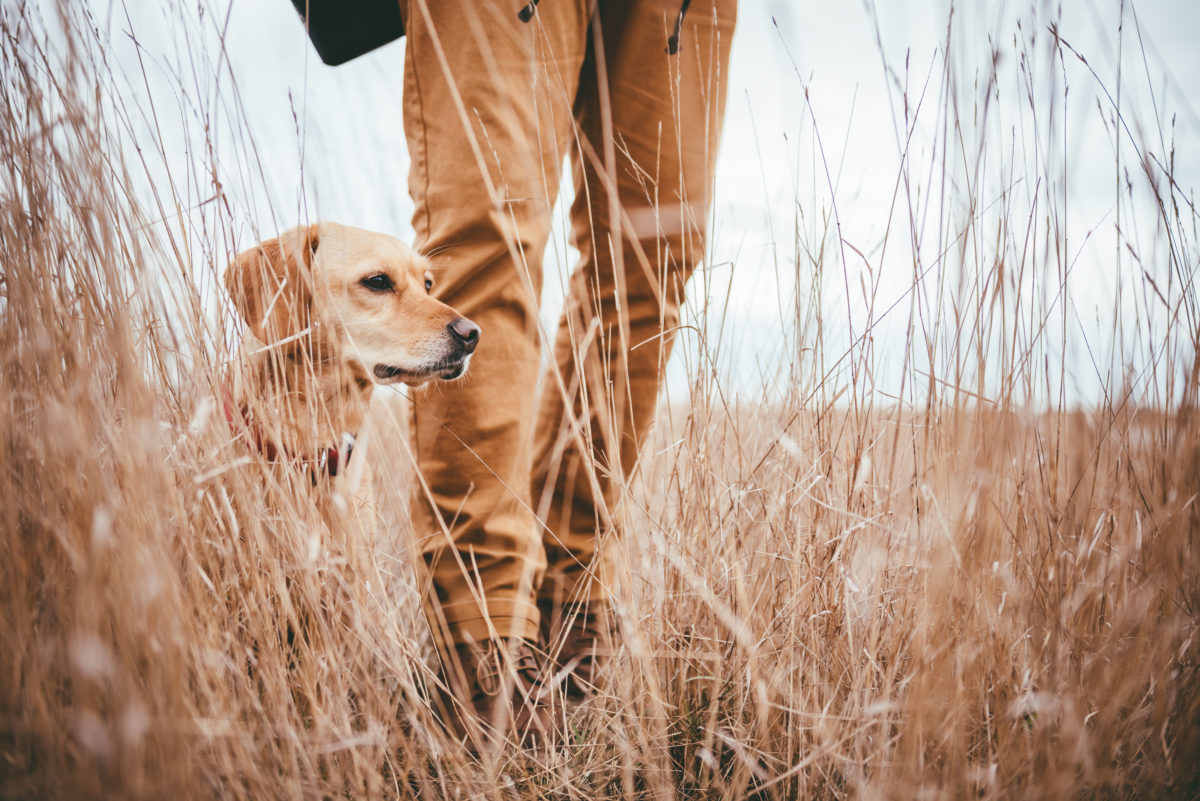 Protection sur mesure anti-bruit chasseur